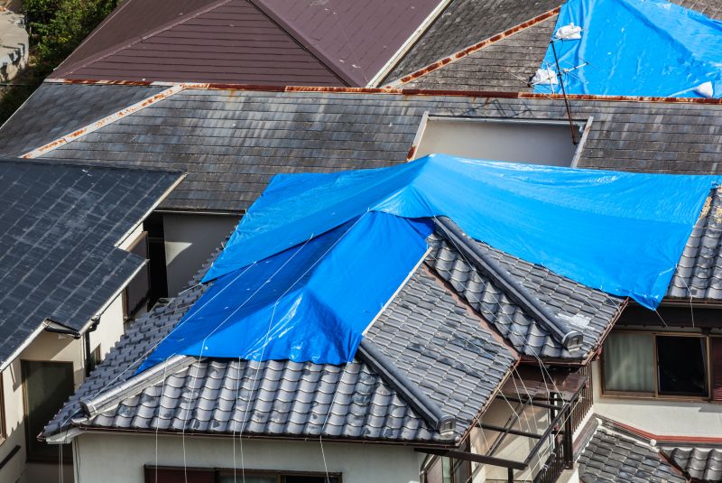Roof Tarp Installation